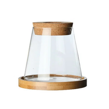 Nordic Simple Transparent Glass Vase